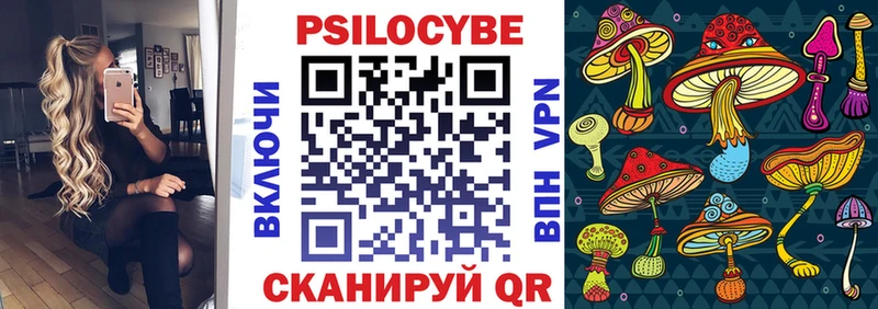 Купить закладки  Северо-Курильск  Псилоцибиновые грибы прущие грибы 